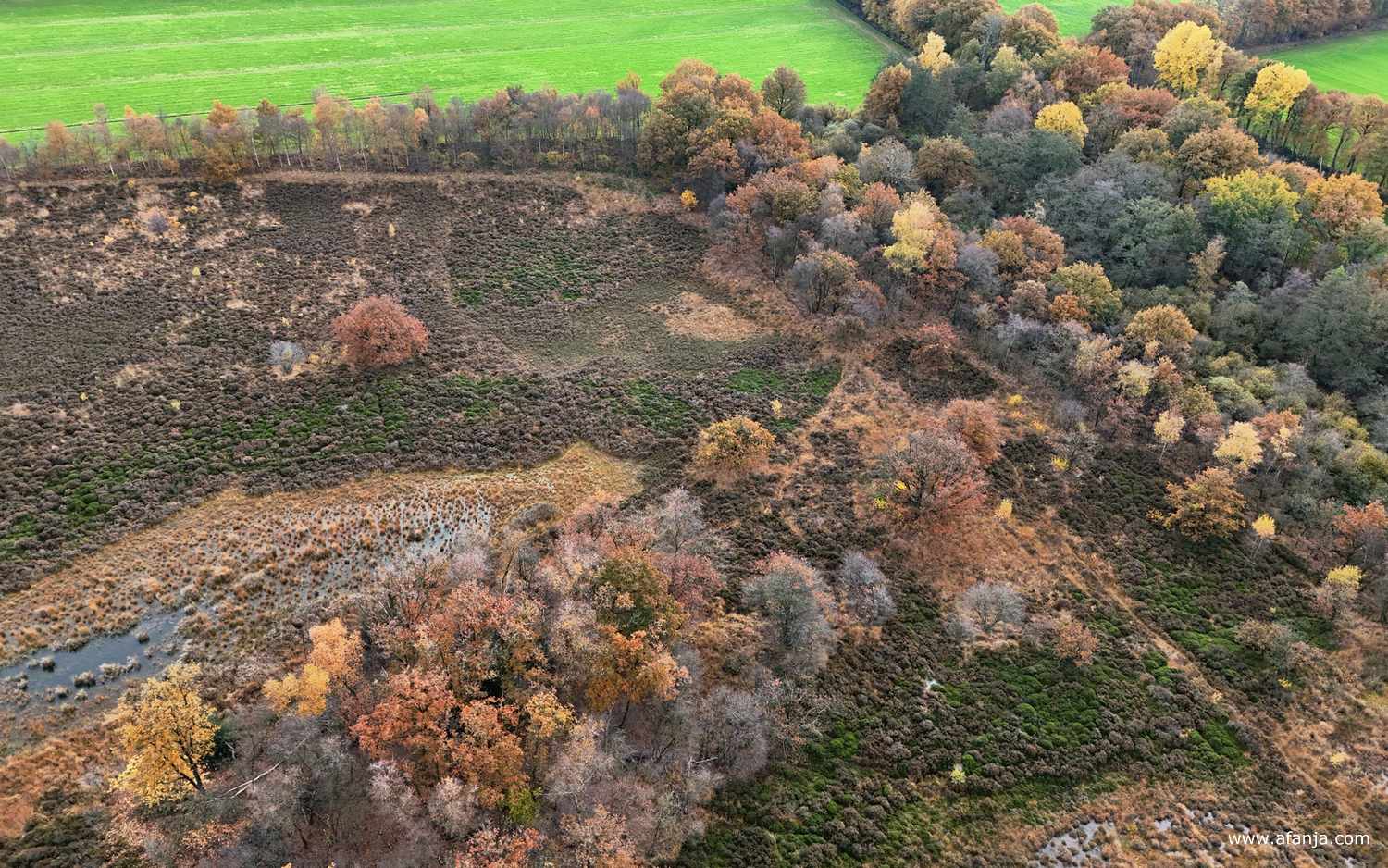langs de randen van de Kapellepôle