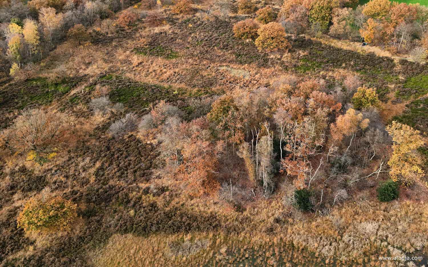 de schier oneindige wildernis van de Kapellepôle