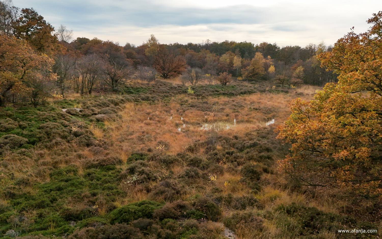 de schier oneindige wildernis van de Kapellepôle