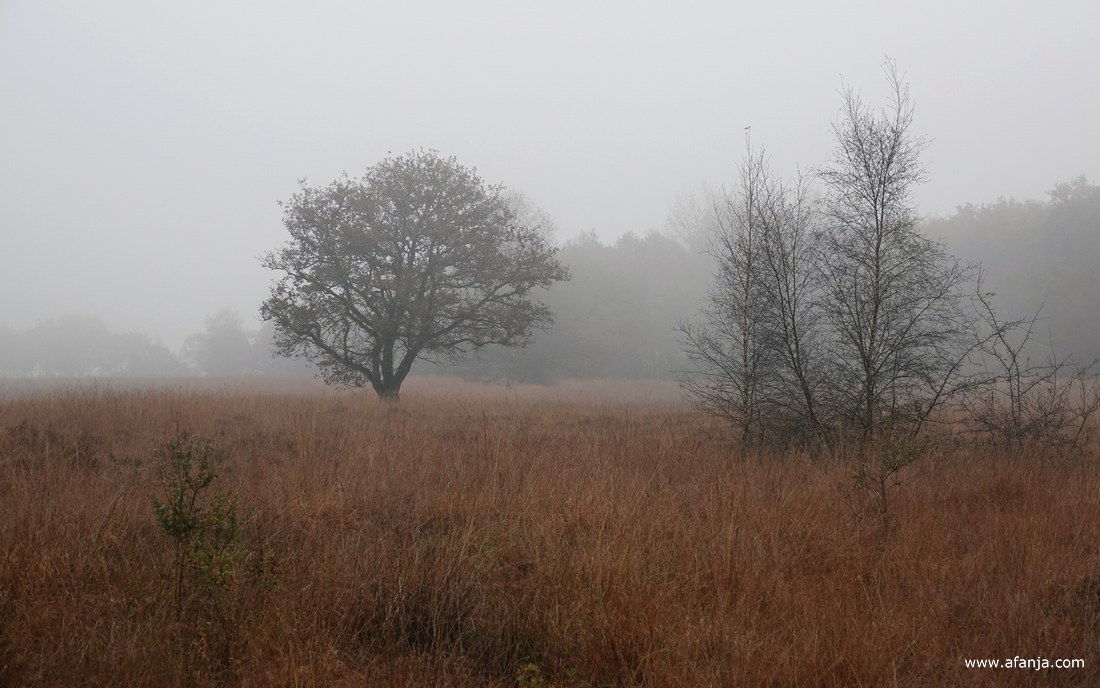 mist in het Weinterper Skar