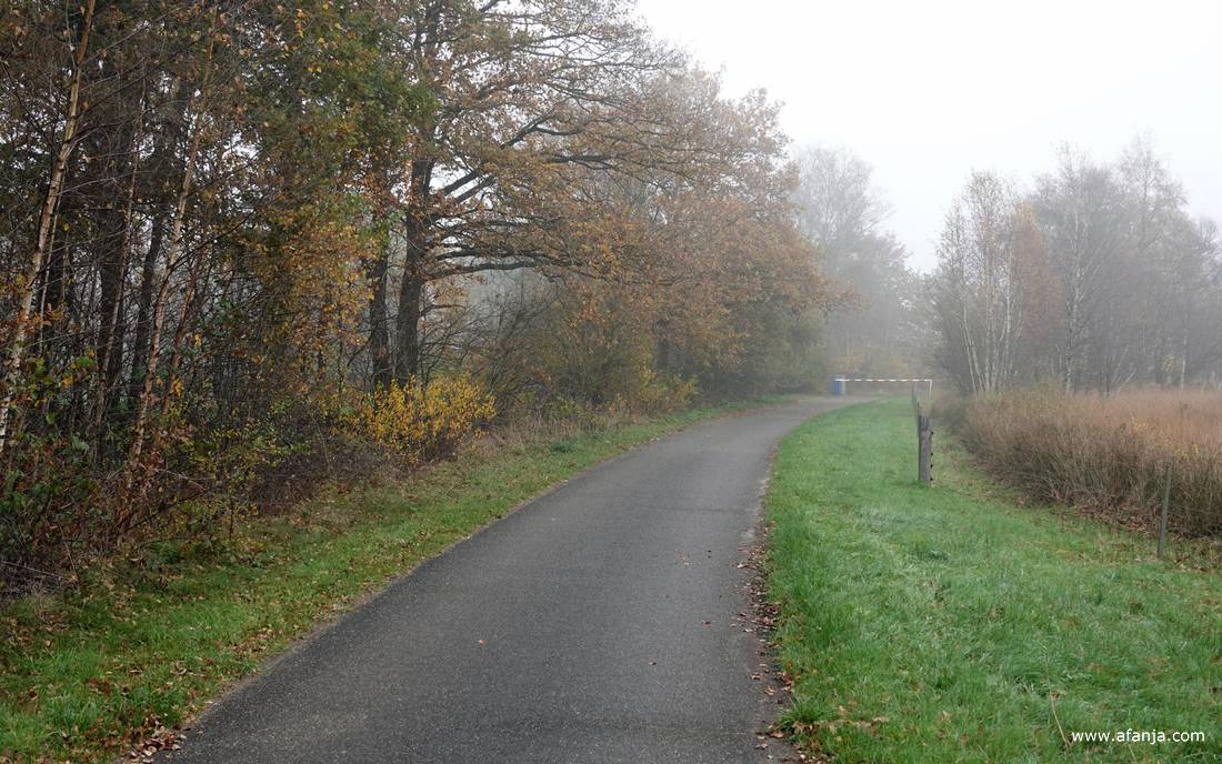 mist in het Weinterper Skar