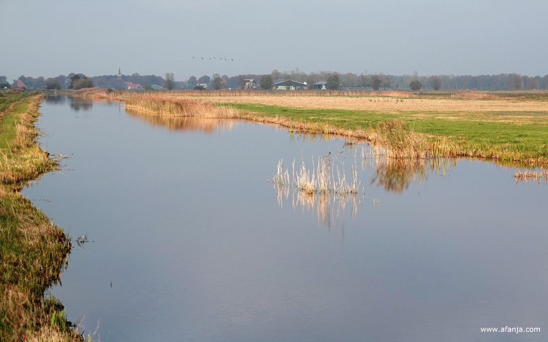laag liggend hooiland langs het Klidzerak