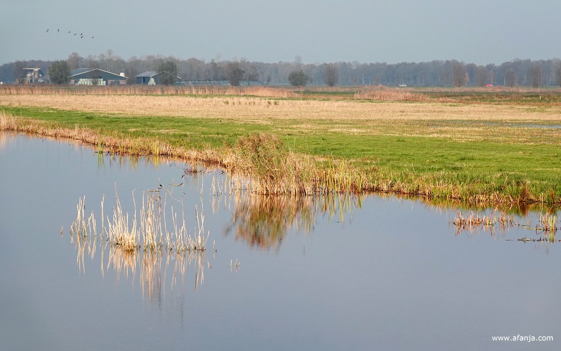 laag liggend hooiland langs het Klidzerak
