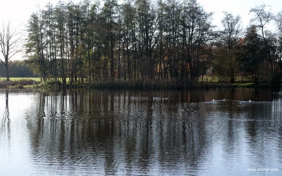 het Jodenveentje in buurtschap De Pol tussen Steenwijk en Willemsoord