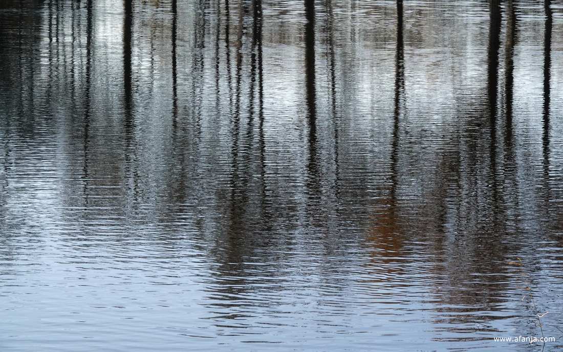 het Jodenveentje in buurtschap De Pol tussen Steenwijk en Willemsoord