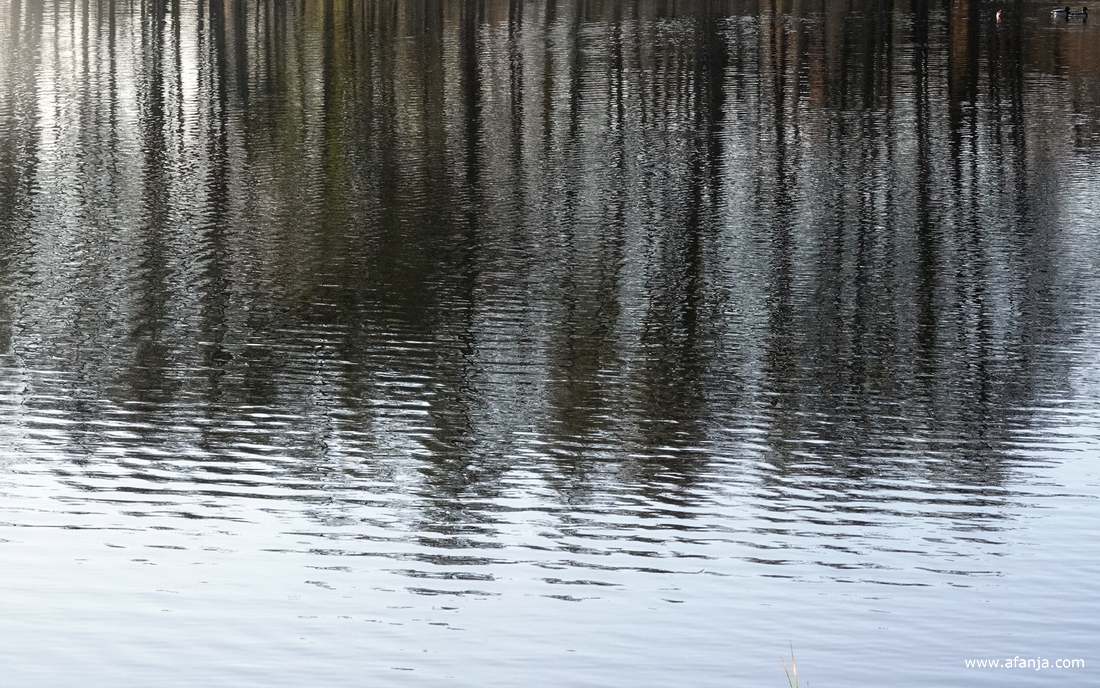 het Jodenveentje in buurtschap De Pol tussen Steenwijk en Willemsoord