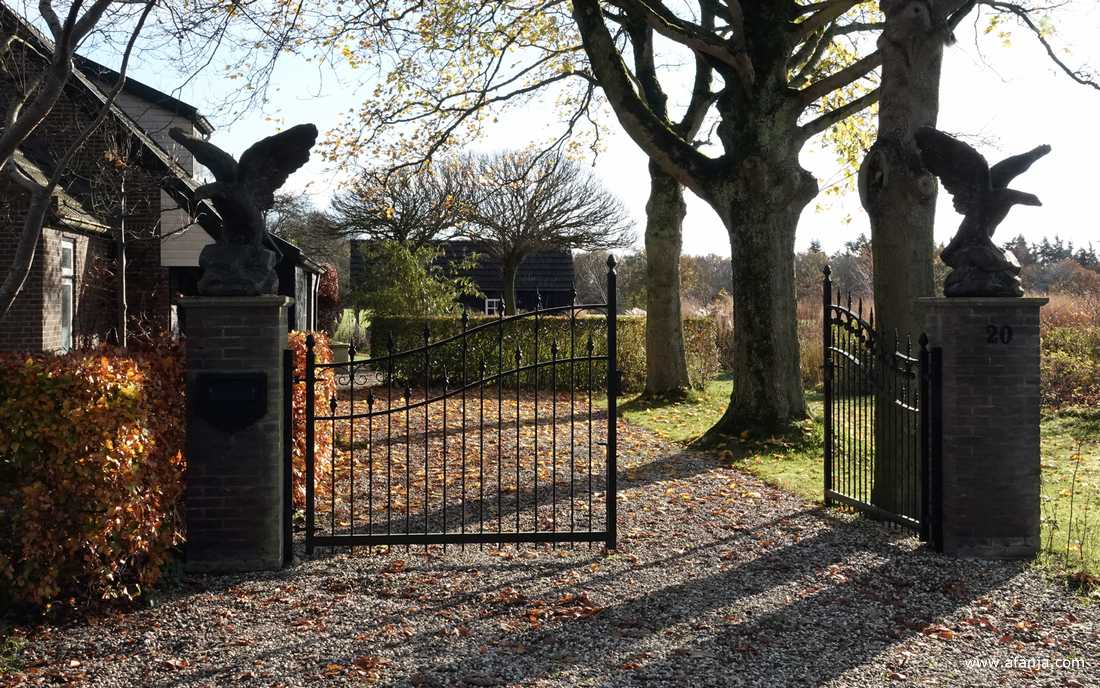 twee ganzen houden de wacht aan een poort