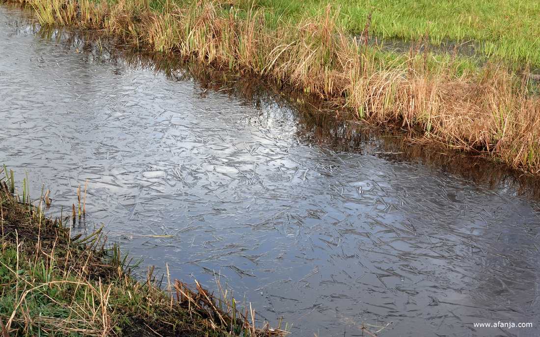 er ligt een laagje ijs in de sloot