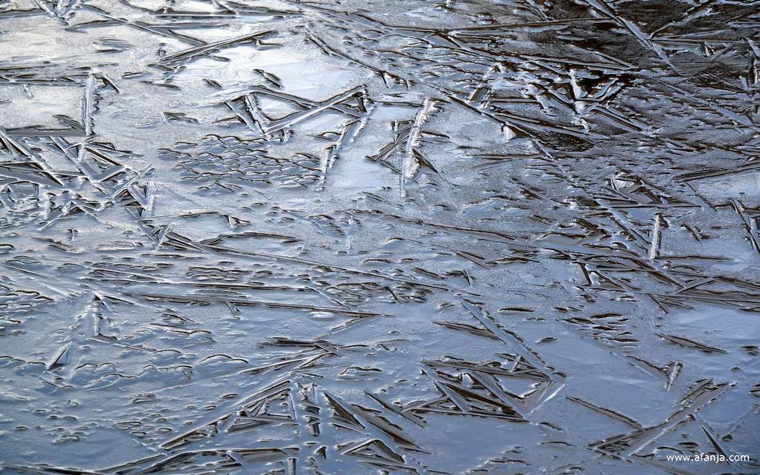 een laagje ijs na de eerste nachtvorst