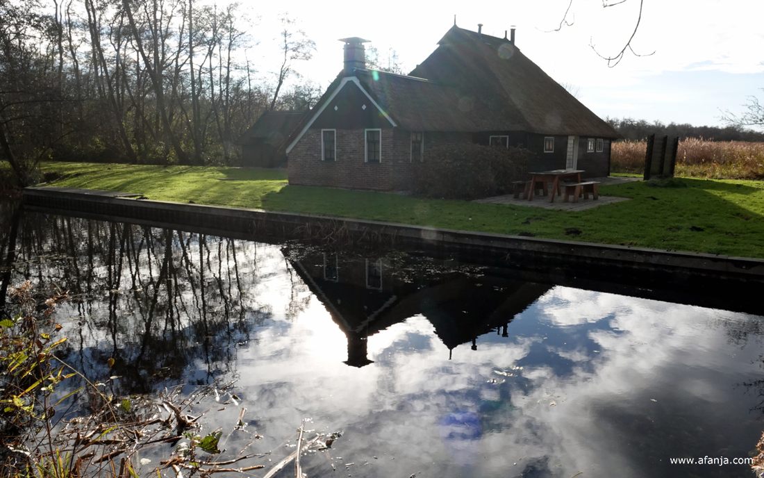 een keuterboerderijtje in De Weerribben wordt weerspiegeld in een gracht