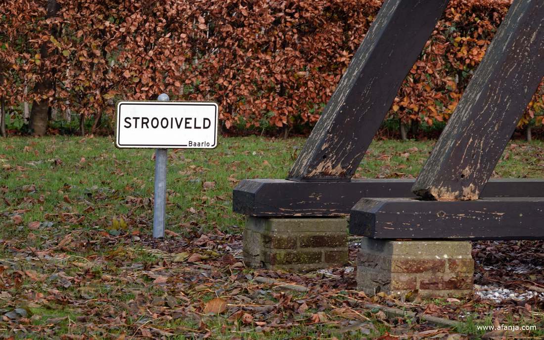 het strooiveld bij de klokkenstoel bij de begraafplaats van Baarlo