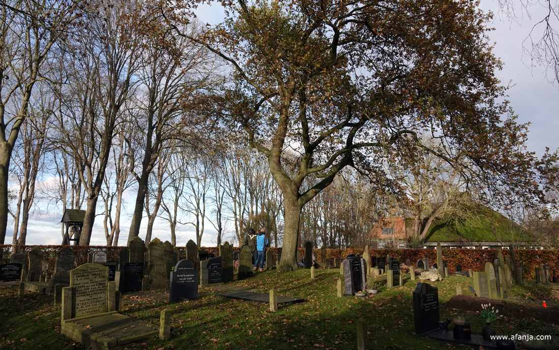 Jetske krijgt een rondleiding op de begraafplaats