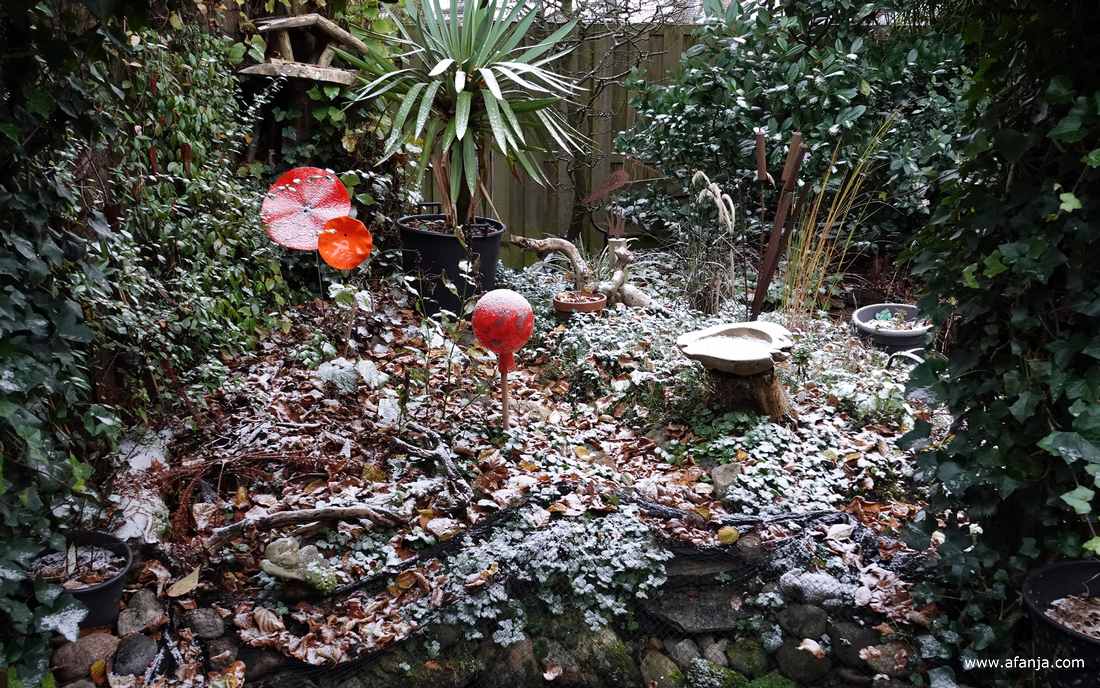 er ligt een heel dun laagje sneeuw in de tuin