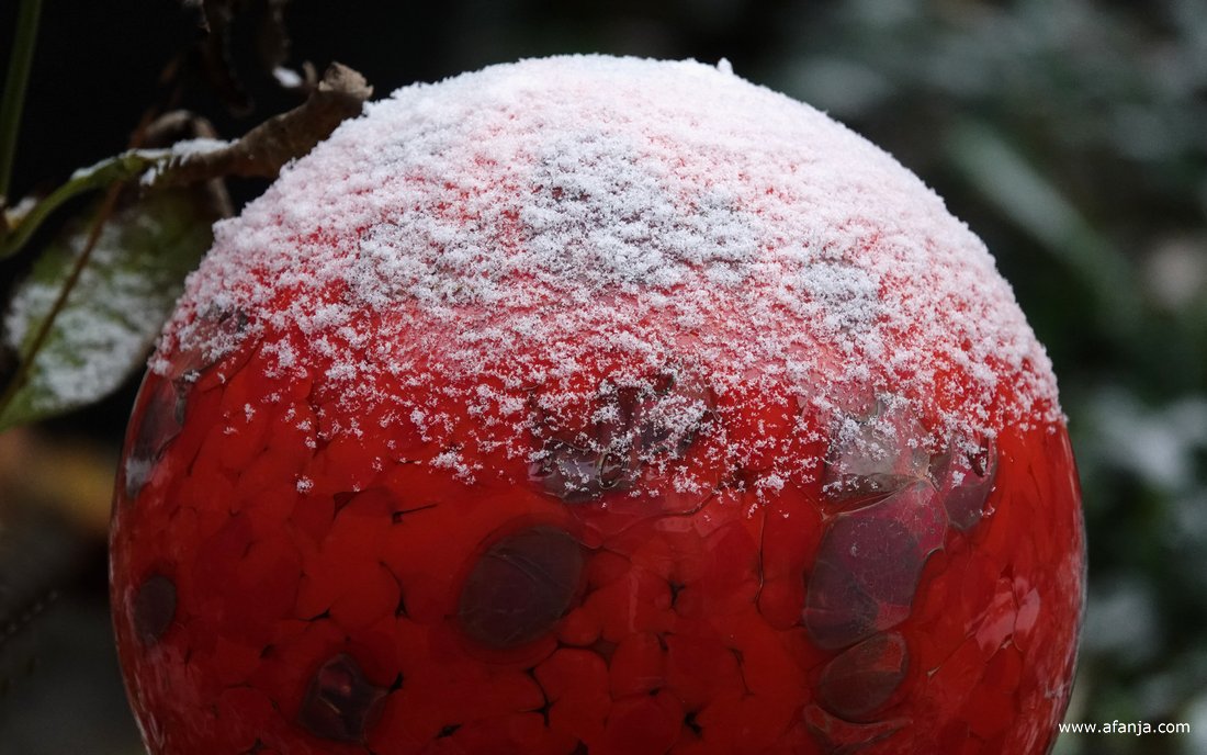 en laagjes sneeuw op de heksenbol in de tuin