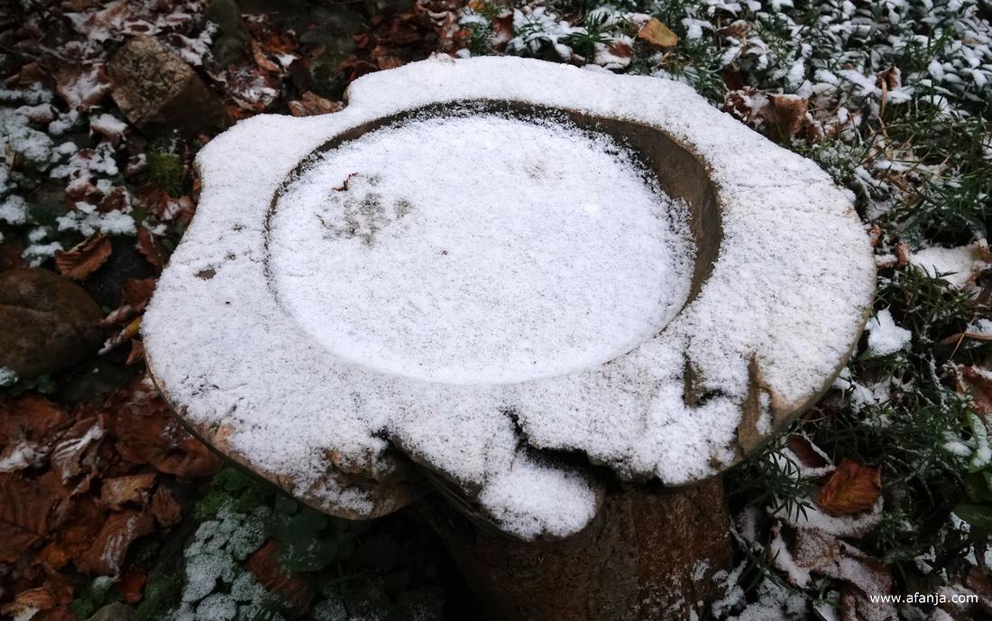 een laagje sneeuw op het vogelbad
