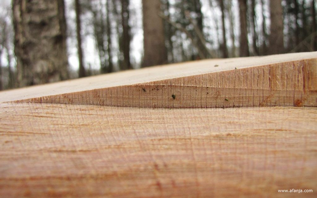 op de voorgrond iets van hout, op de achtergrond staan bomen