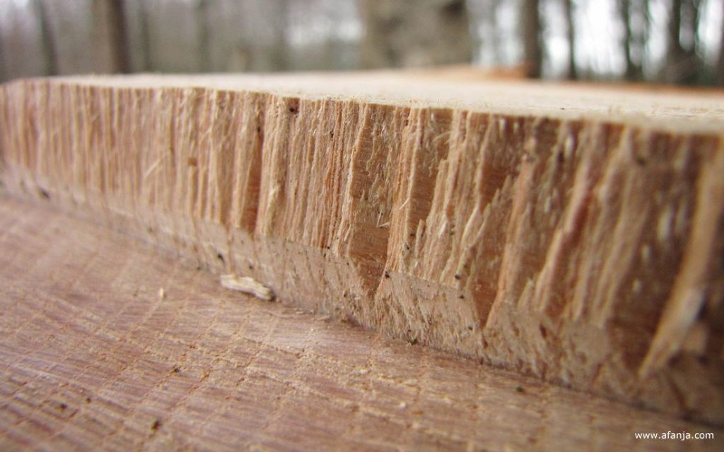 close-up van iets van hout