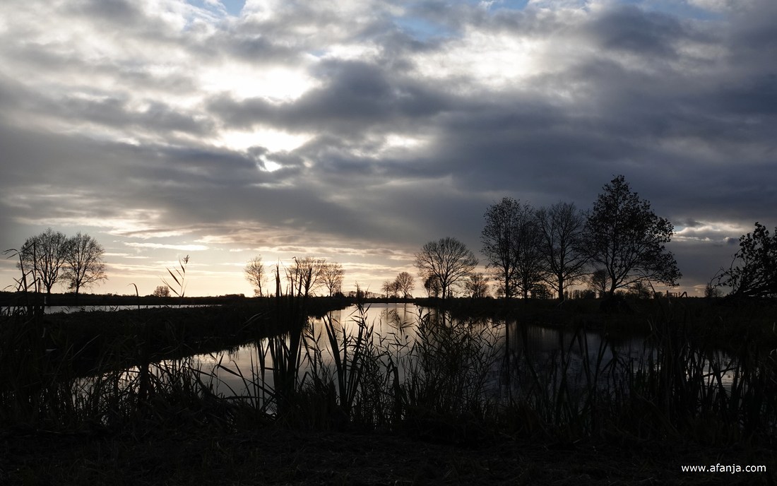 herstelde petgaten in De Weerribben