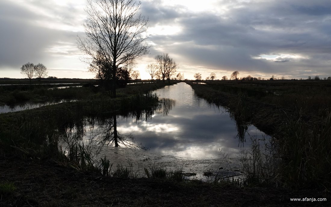 herstelde petgaten in De Weerribben