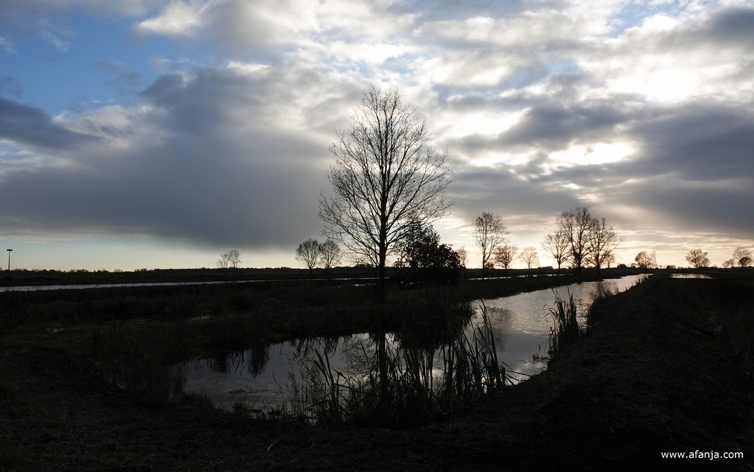 herstelde petgaten in De Weerribben