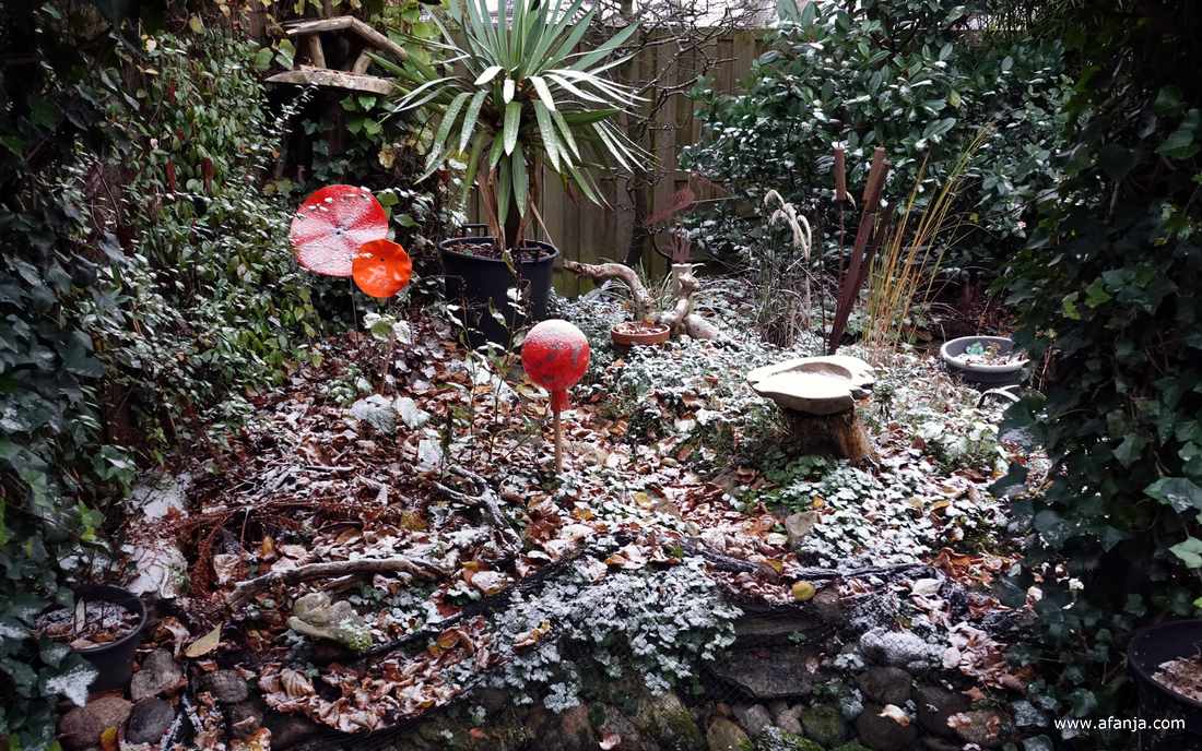 een klein beetje sneeuw in de tuin - 23 november 2025