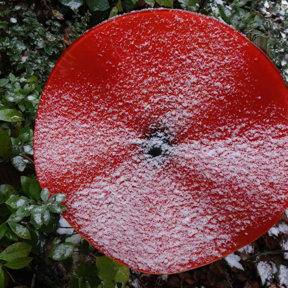 de eerste sneeuw aardewerken klaproos in de tuin - november 2025