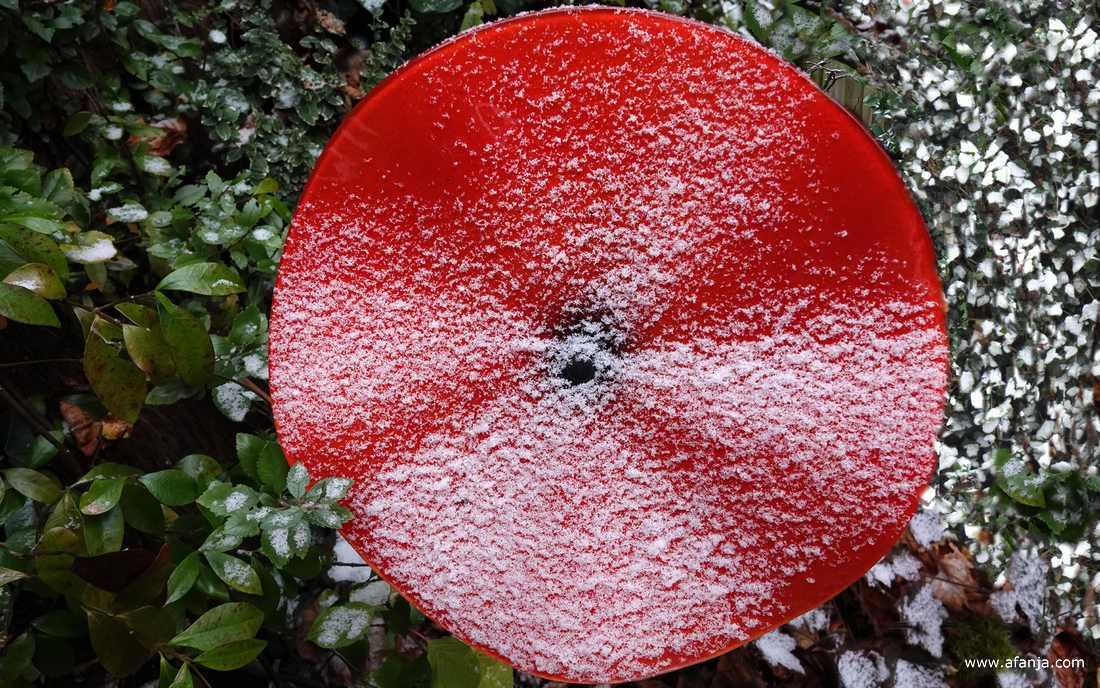 een klein beetje sneeuw in de tuin - 23 november 2025