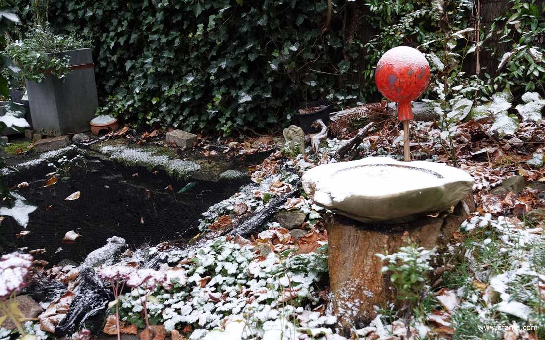een klein beetje sneeuw in de tuin - 23 november 2025