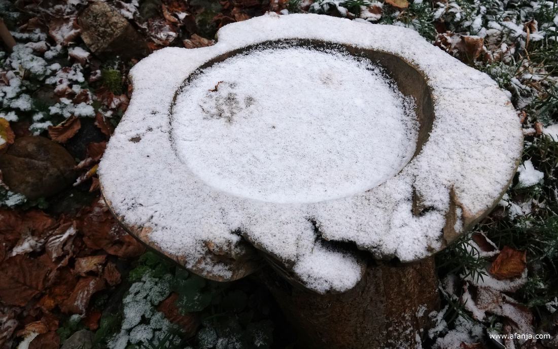 een klein beetje sneeuw in de tuin - 23 november 2025