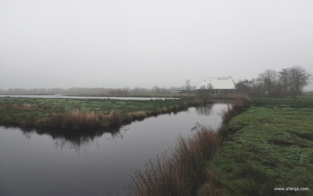 ‘Villa Sterk’ gaat met mist nog meer op in de omgeving