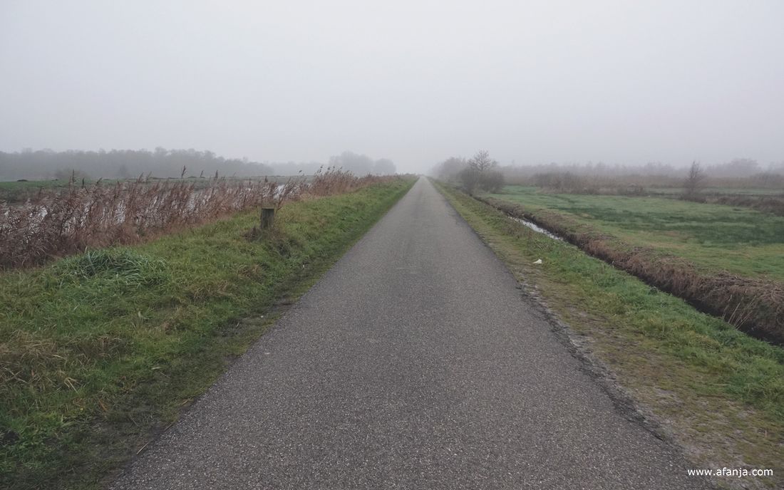 mist op de Hooivaartsweg naar De Deelen