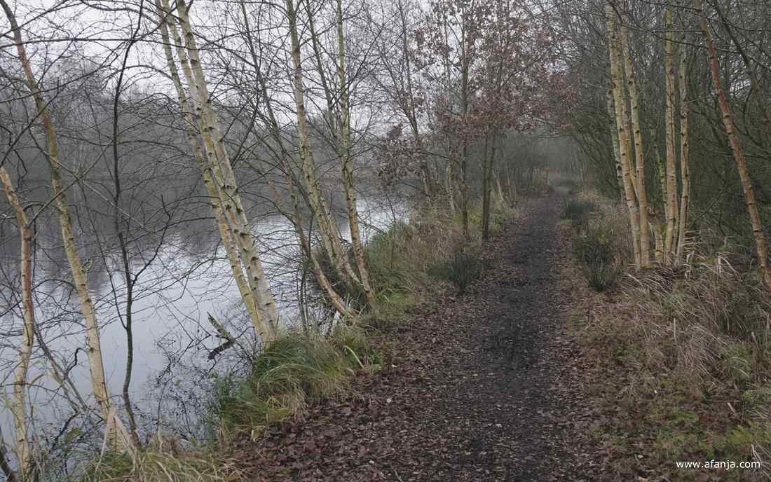 een nevelig pad langs het tweede petgat in De Deelen