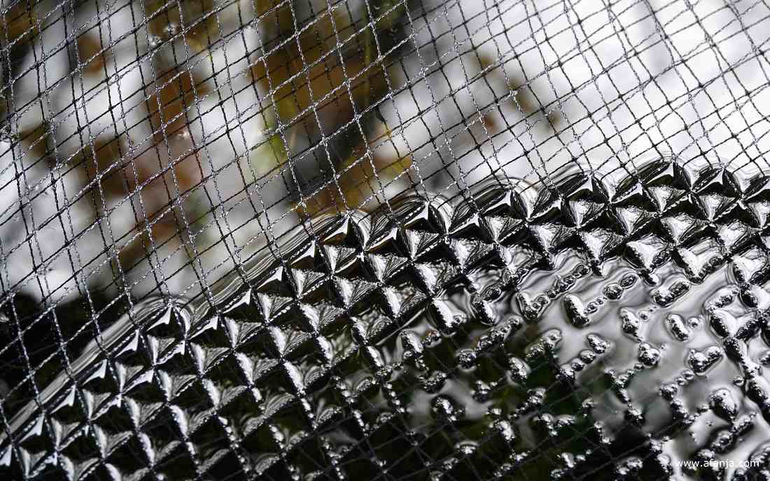 een net, dat over de vijver hangt om bladeren van de hazelaar op te vangen, hangt deels in het water