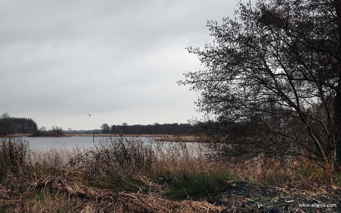 landschap met een meertje
