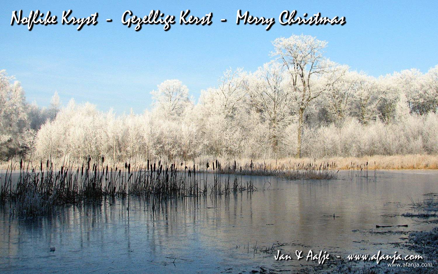 Noflike Kryst - Gezellige Kerst - Merry Christmas