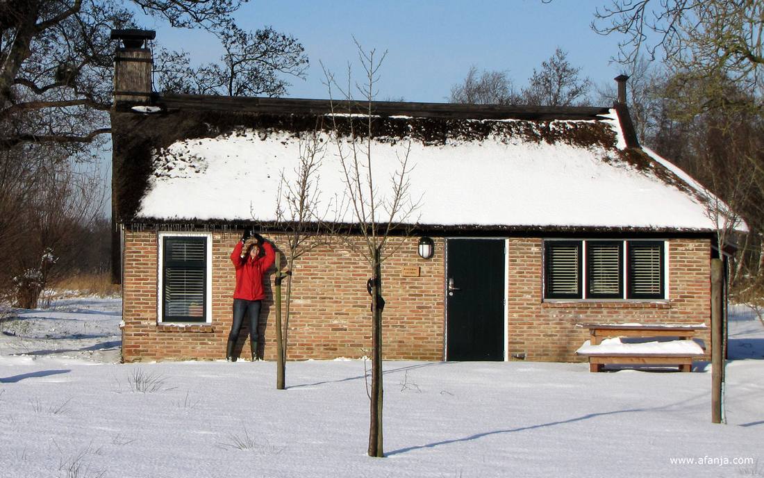 fotomaatje Jetske maakt een foto van de bijna weggesmolten ijspegels aan de zuidkant van een vervenershuisje in de Weerribben (december 2009)