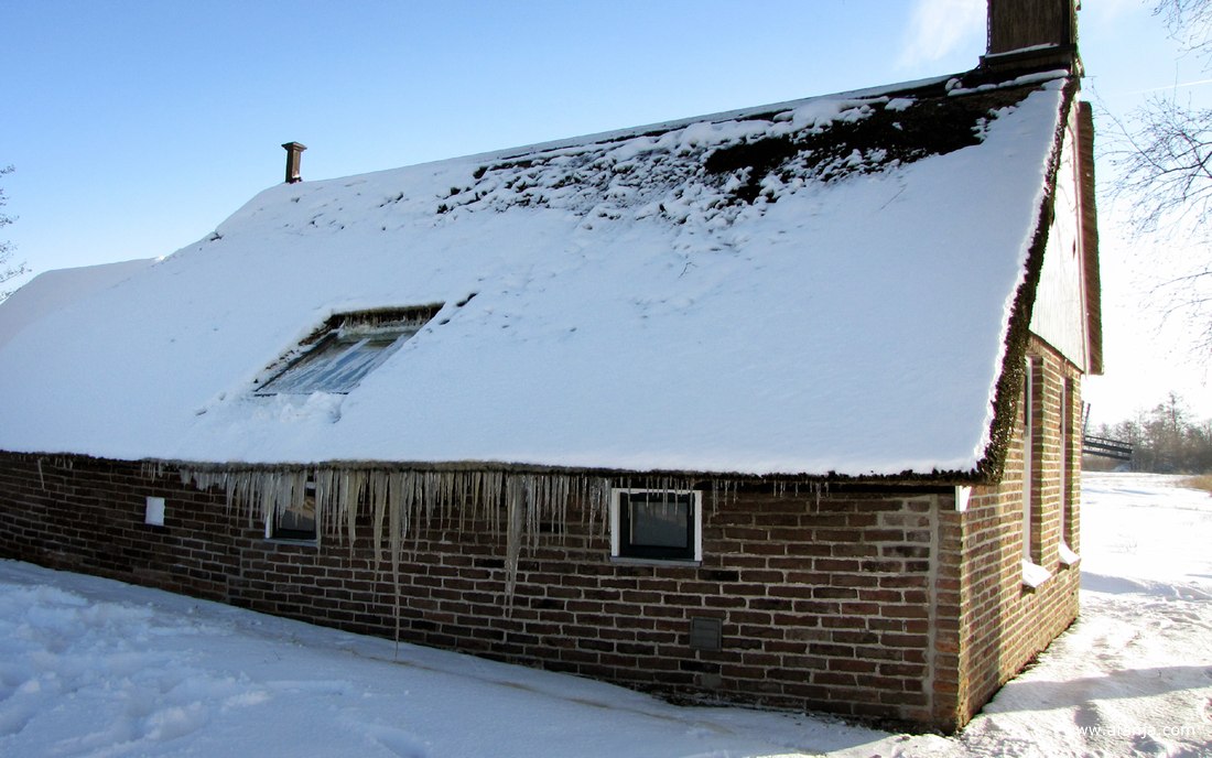 er hangen lange ijspegels aan de zuidkant van een vervenershuisje in de Weerribben (december 2009)