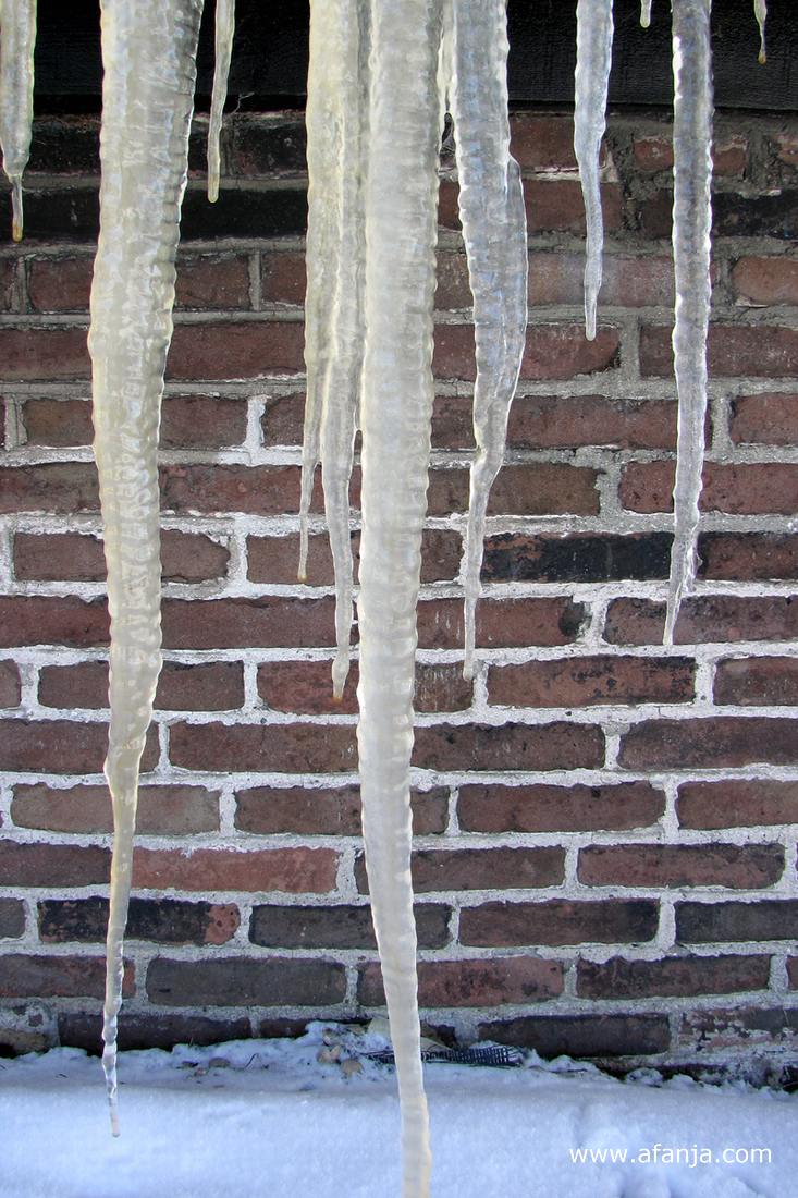 er hangen lange ijspegels aan de zuidkant van een vervenershuisje in de Weerribben (december 2009)