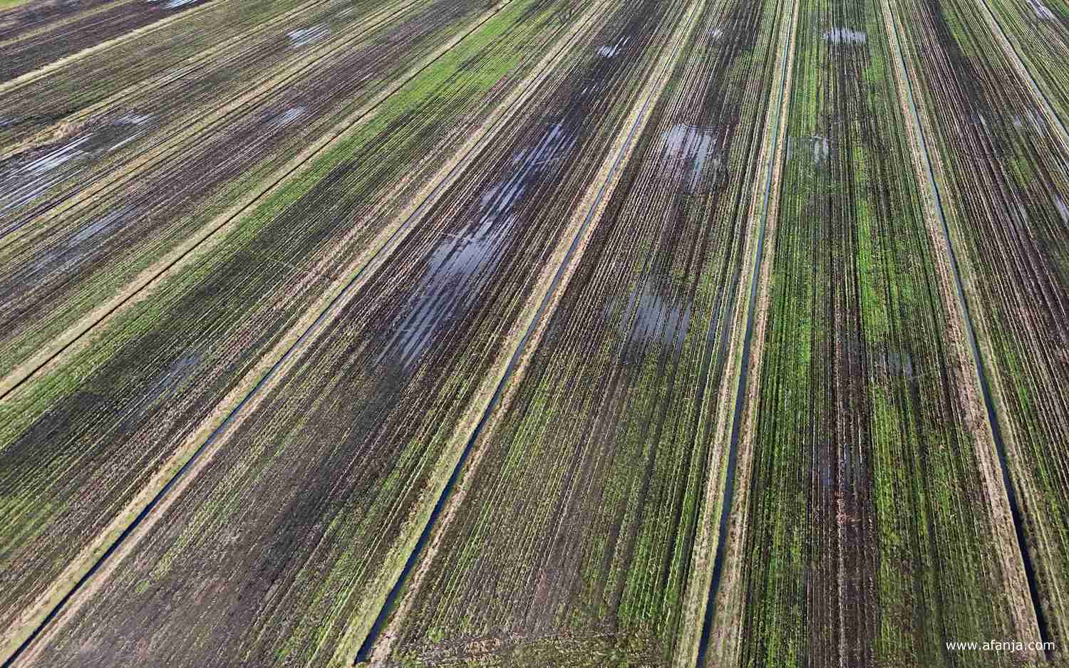 lijnen in het boerenland