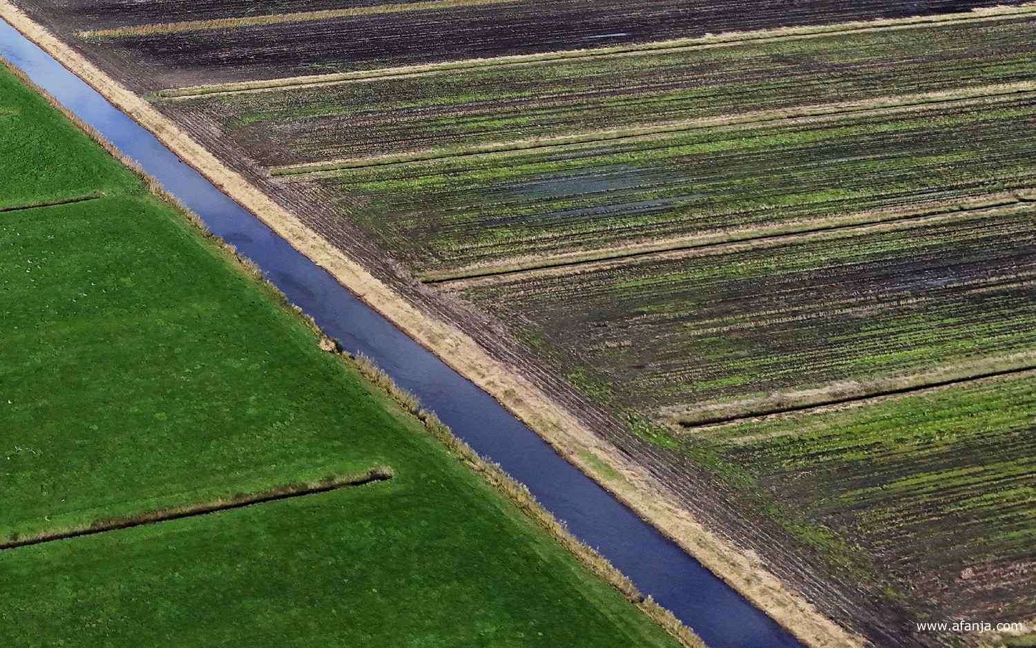 lijnen in het boerenland