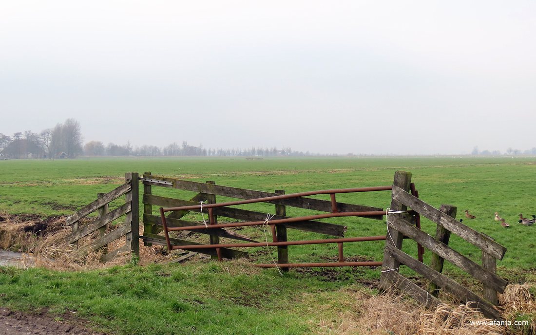 een kapot houten hek en een verroest hek van metaal zijn provisorisch samengebonden met pakjestouw om het weiland af te kunnen sluiten