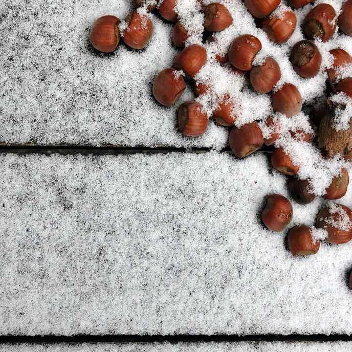 een miniem laagje sneeuw op een terrastafeltje waar wat hazelnoten op liggen