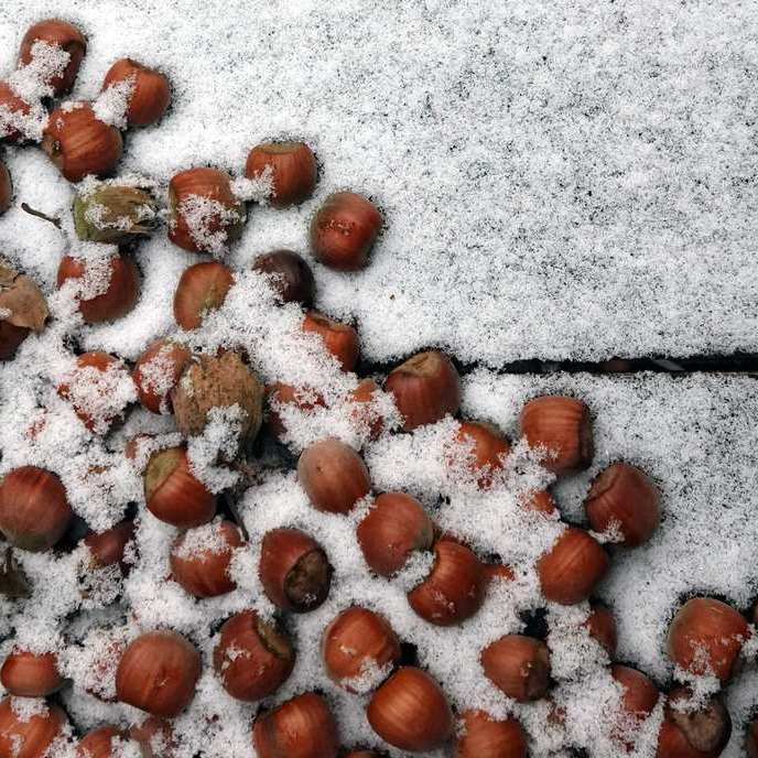 een miniem laagje sneeuw op een terrastafeltje waar wat hazelnoten op liggen