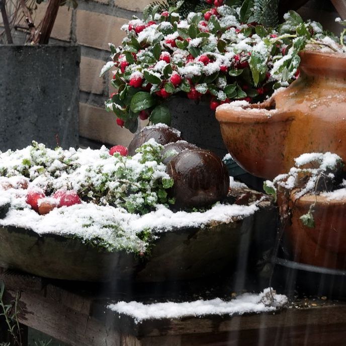 er valt sneeuw op een bak en een paar potten met planten op een terrastafel