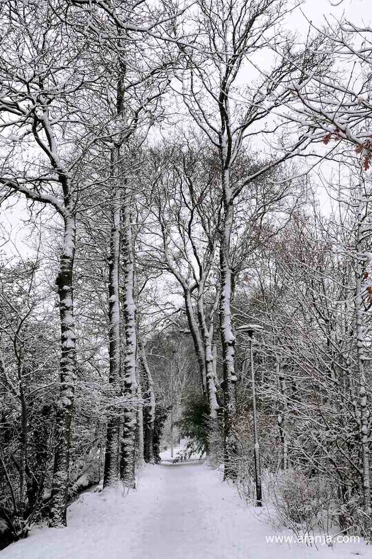 het bospad door de wijk tijdens een sneeuwbui