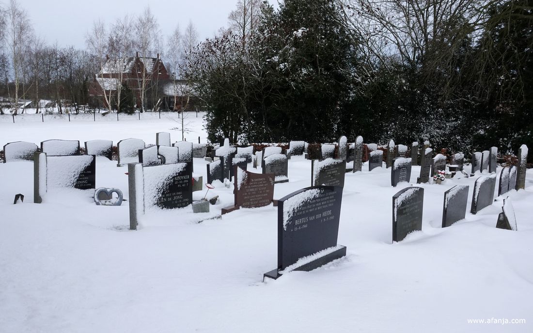 op de besneeuwde begraafplaats met de Groene toren in Eastermar-Heechsân