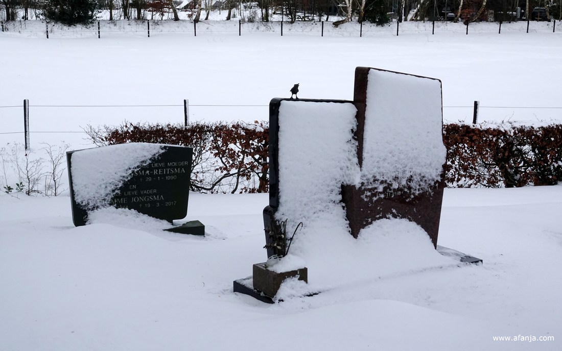 op de besneeuwde begraafplaats met de Groene toren in Eastermar-Heechsân