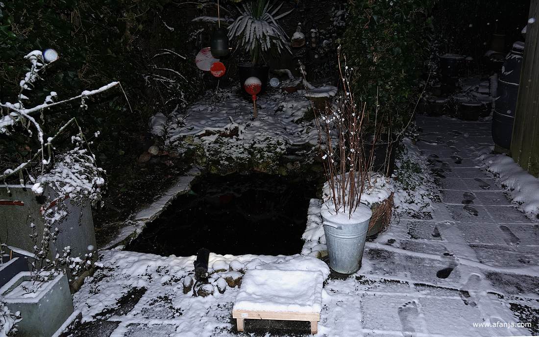 een dun laagje sneeuw in de tuin met sporen op het paadje