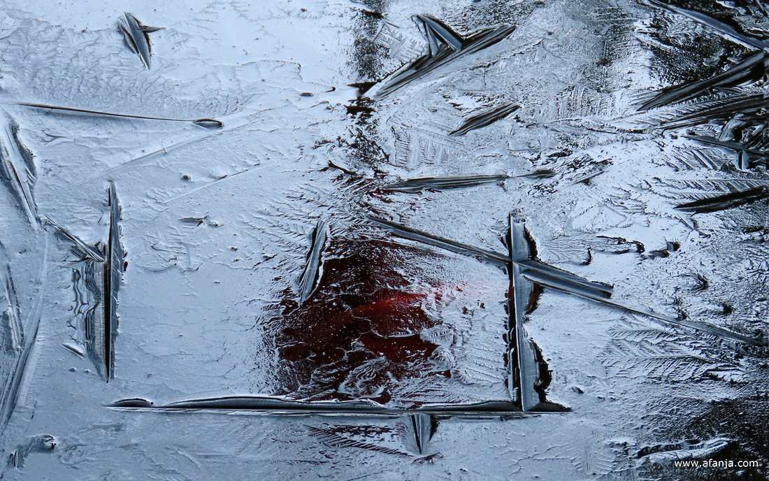 ijspatronen op de vijver