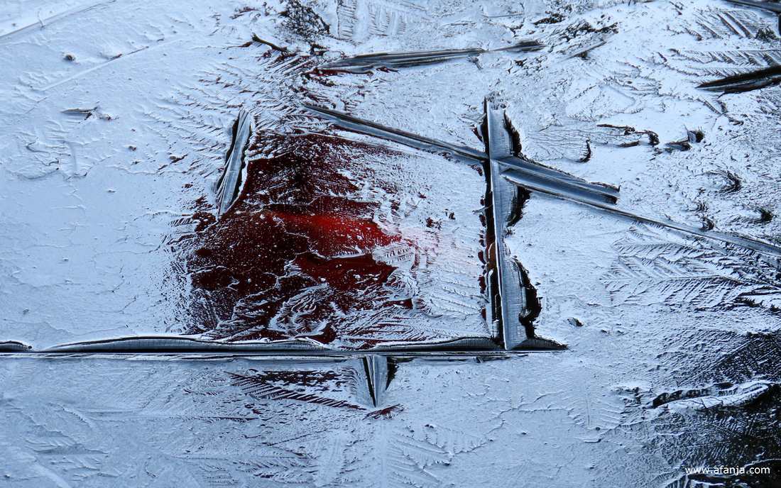 ijspatronen op de vijver